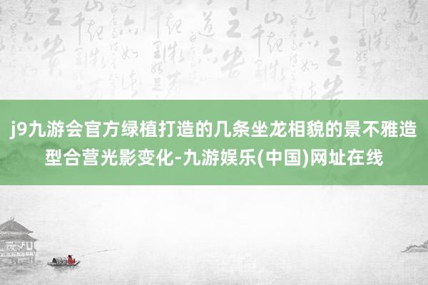 j9九游会官方绿植打造的几条坐龙相貌的景不雅造型合营光影变化-九游娱乐(中国)网址在线