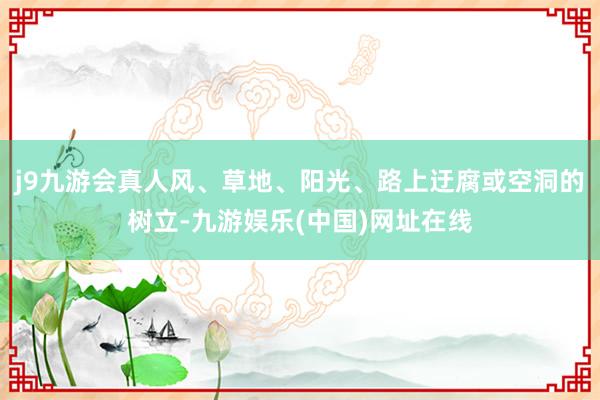 j9九游会真人风、草地、阳光、路上迂腐或空洞的树立-九游娱乐(中国)网址在线