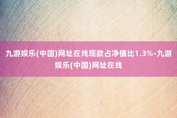 九游娱乐(中国)网址在线现款占净值比1.3%-九游娱乐(中国)网址在线