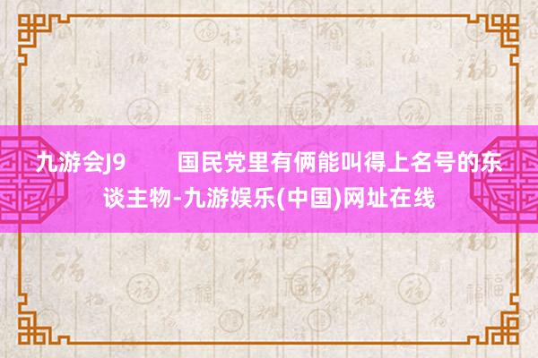 九游会J9        国民党里有俩能叫得上名号的东谈主物-九游娱乐(中国)网址在线